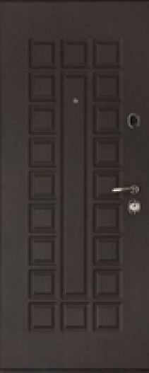 Металлические двери Regidoors МАССИВ-2